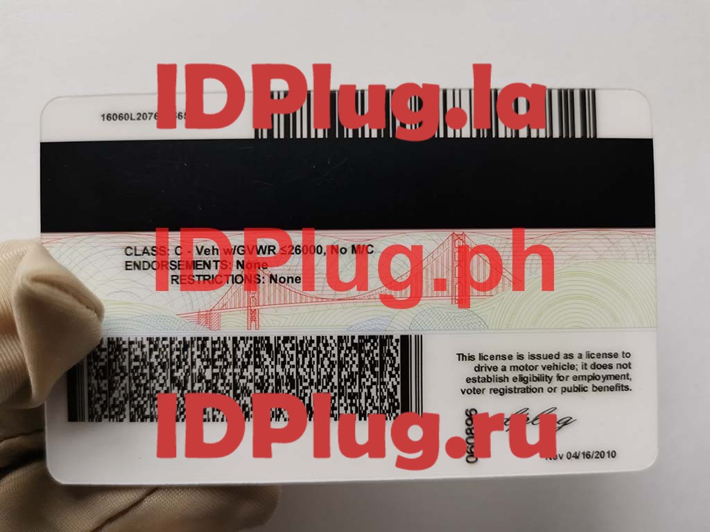 CALIFORNIA OLD O21 - Image 2